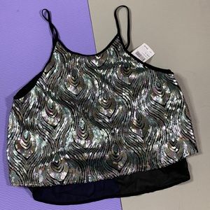 ASTER sequence crop.